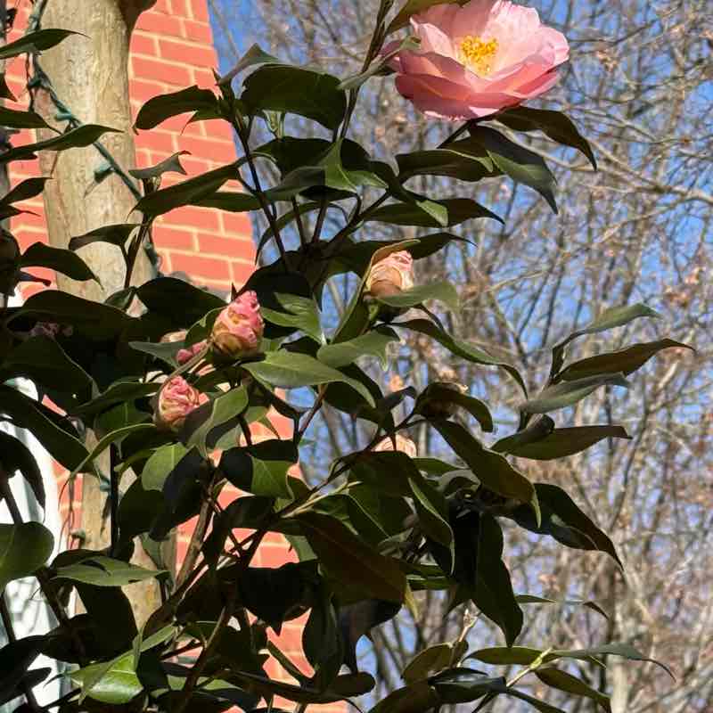 Наталья post 3