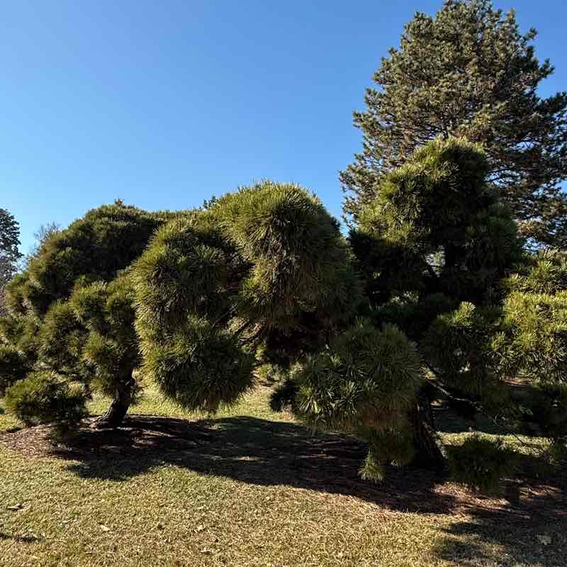 Наталья post 2