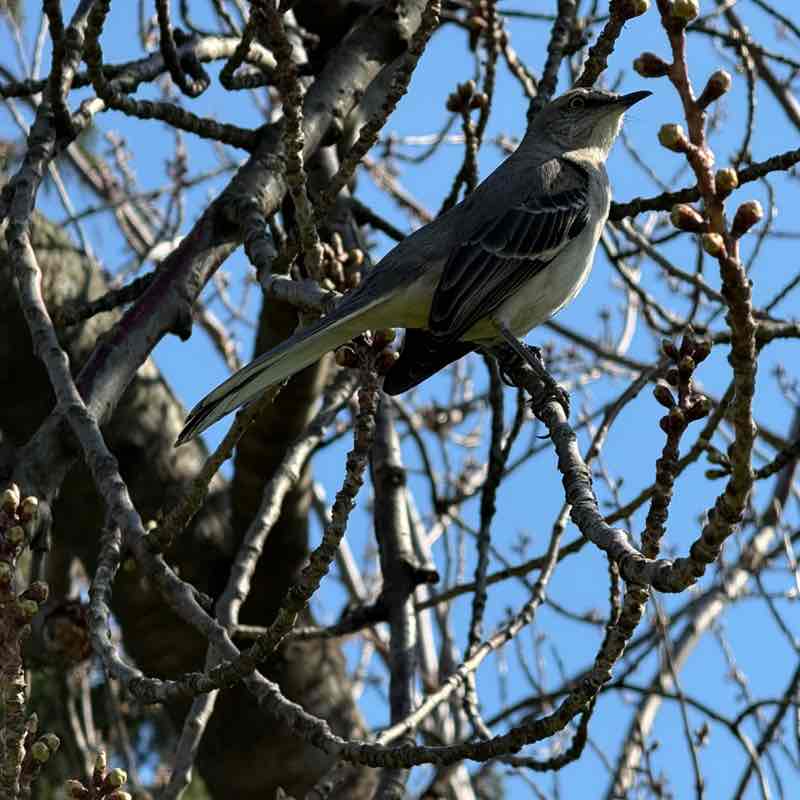 Наталья post 1