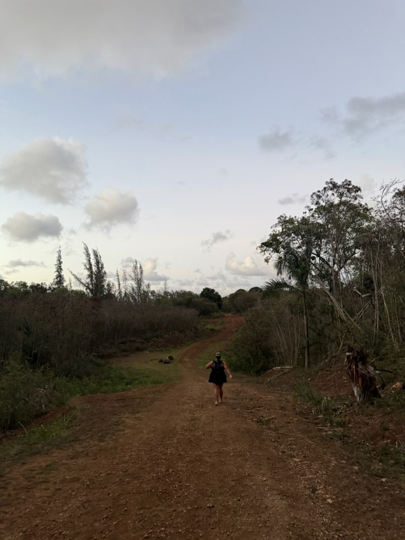 walking near me in Laie Park in autumn