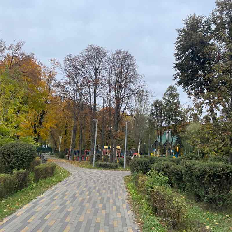 Dmytro Polishchuk post 1