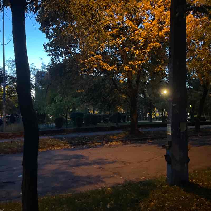 Dmytro Polishchuk post 1