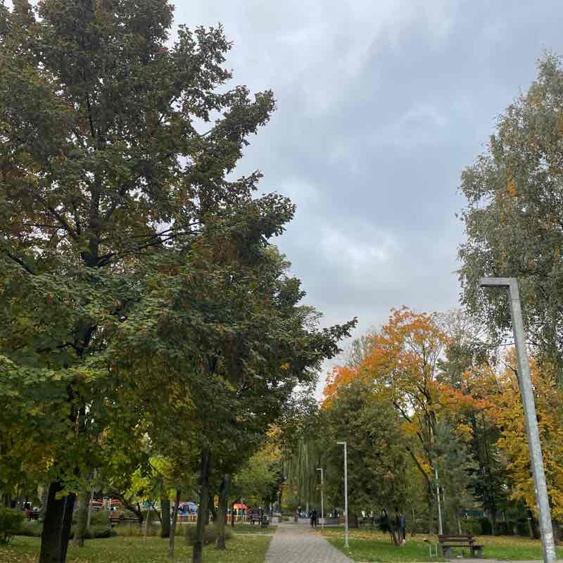 Dmytro Polishchuk post 1