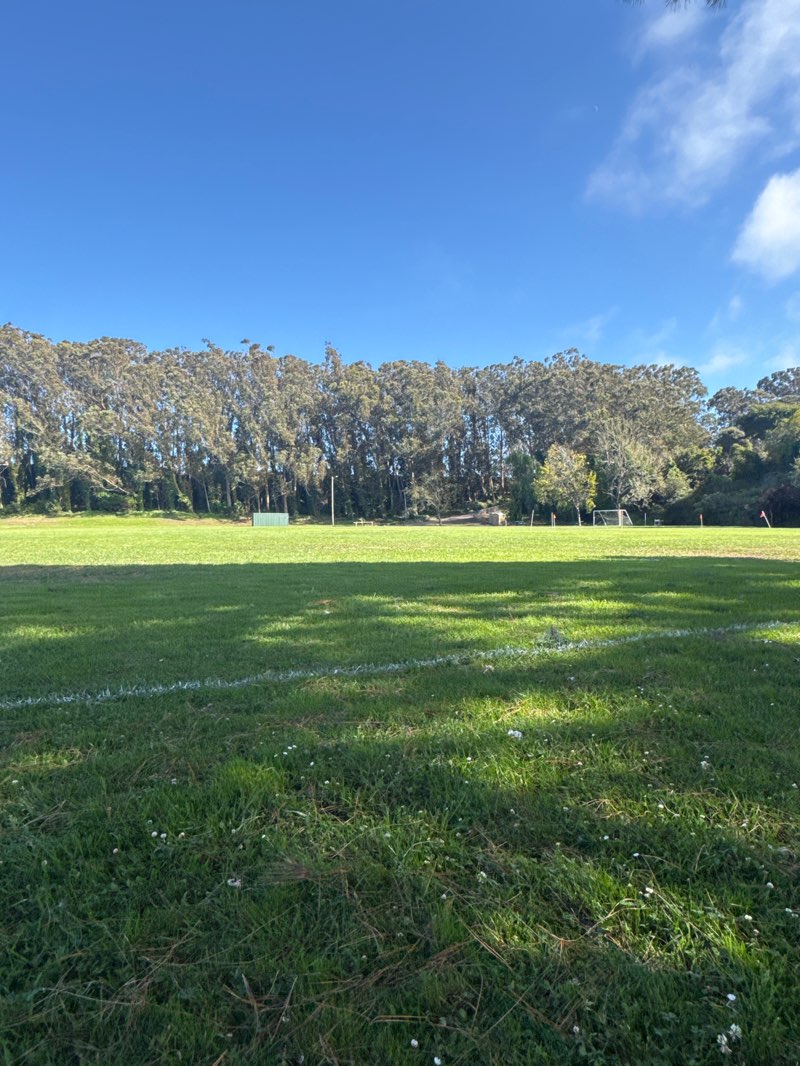 walking near me in Monte Verde Park in autumn