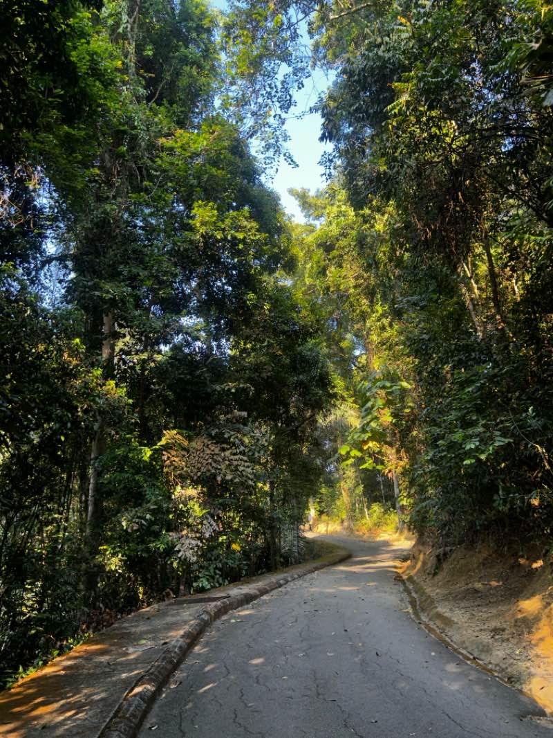 walking near me in Taman Serbaguna Kuala Pilah in autumn