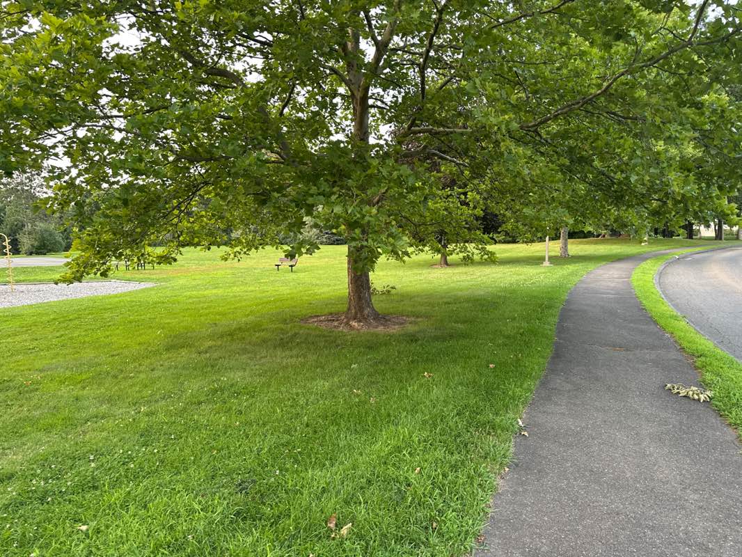 walking near me in Parker Village Play Area in summer