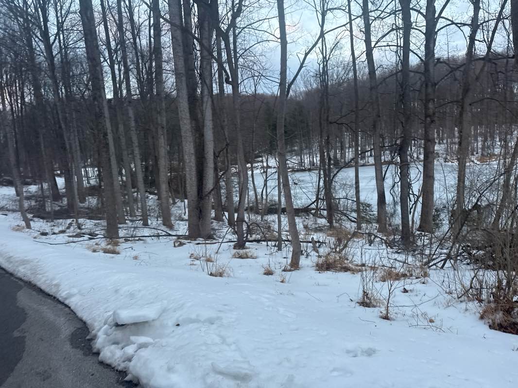 walking near me in Centennial Park in winter