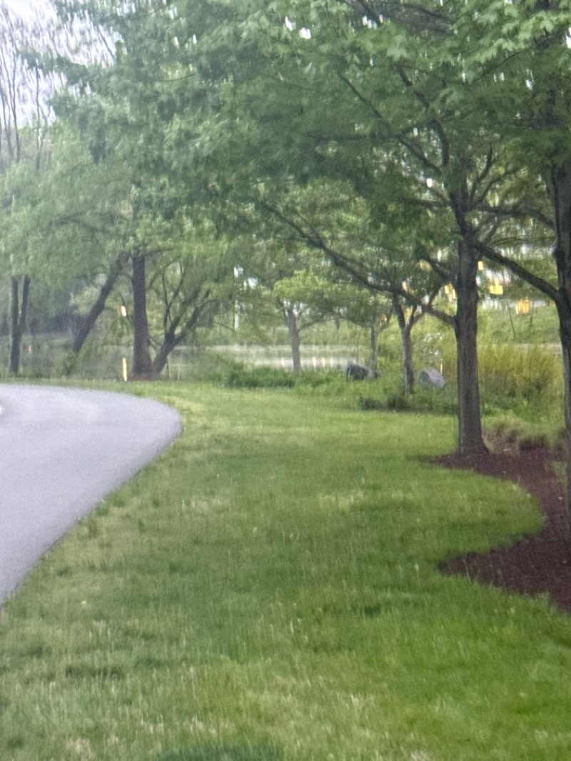 walking near me in Lake Kittamaqundi Park in spring