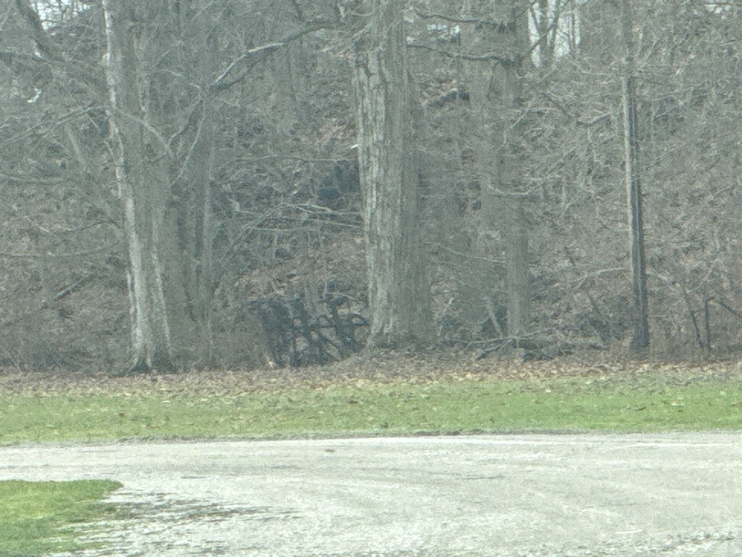 walking near me in Geneva Memorial Park in winter