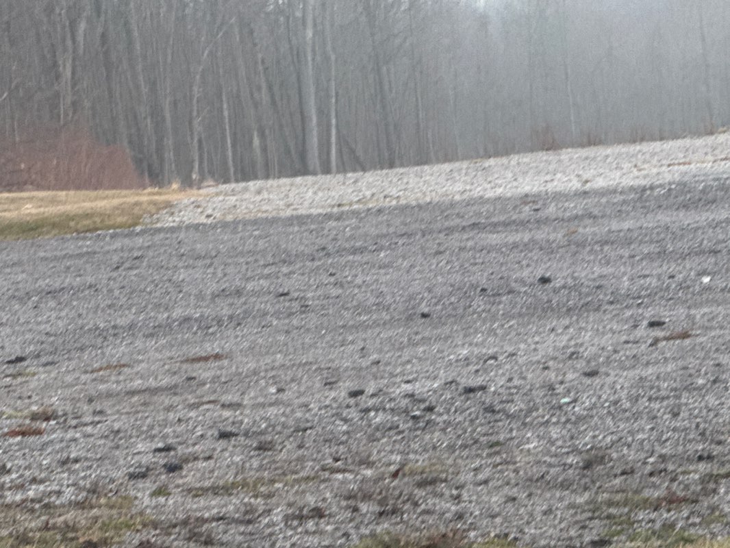 walking near me in Geneva on the Lake Kiwanis Park in winter