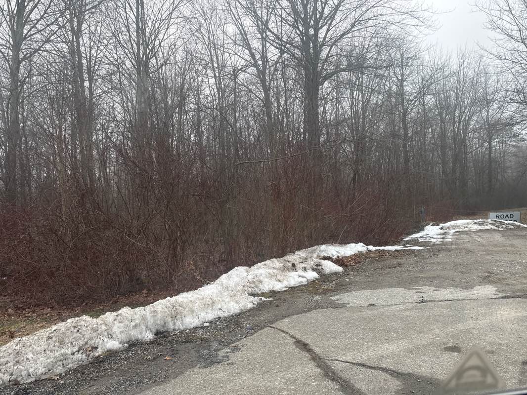 walking near me in Geneva State Park in winter