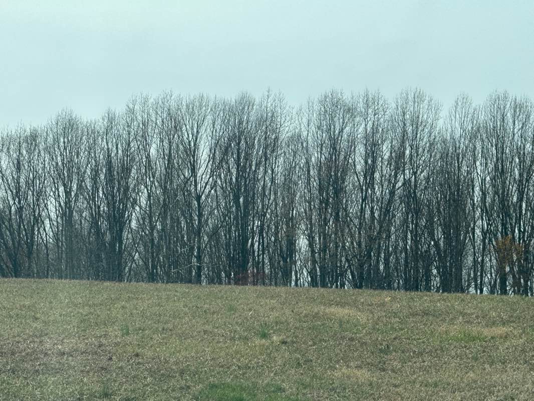 walking near me in Baron Cameron Park in spring