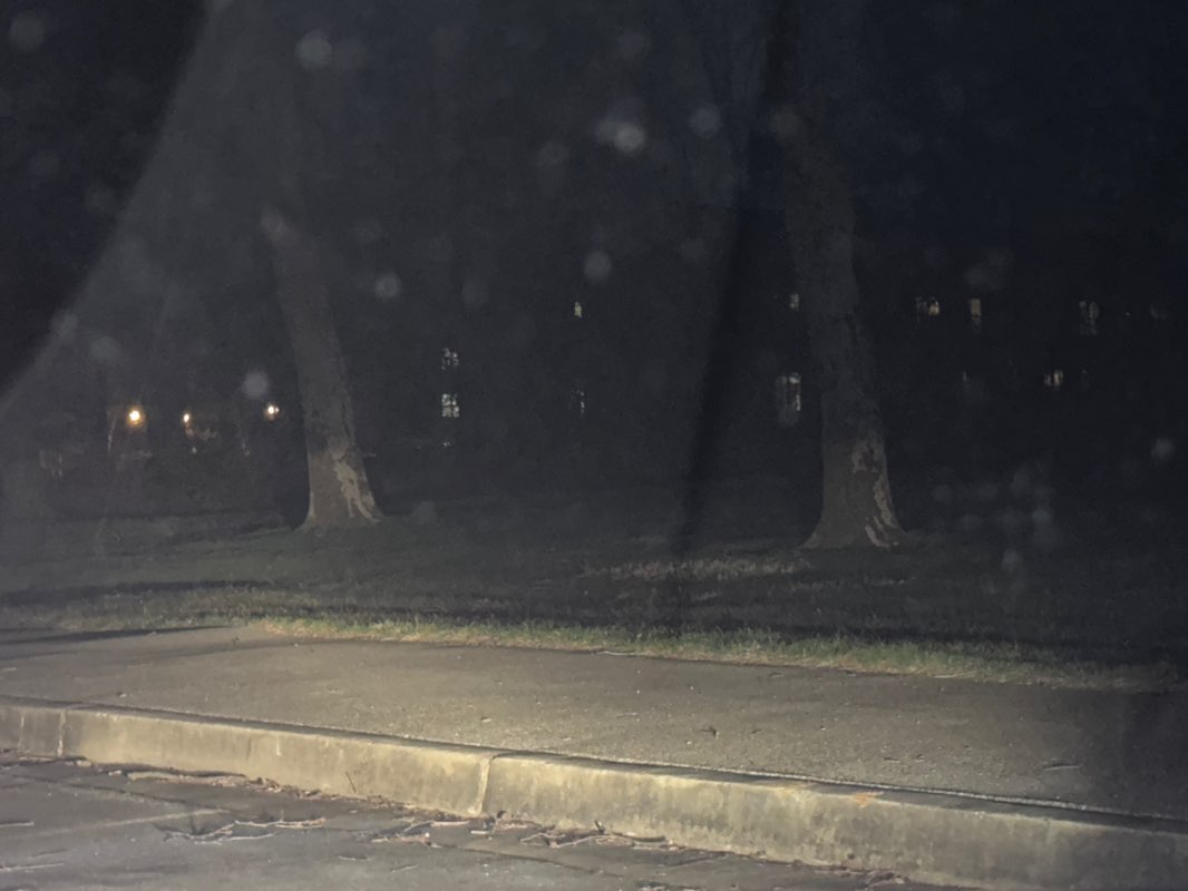 walking near me in Guilford Park in spring