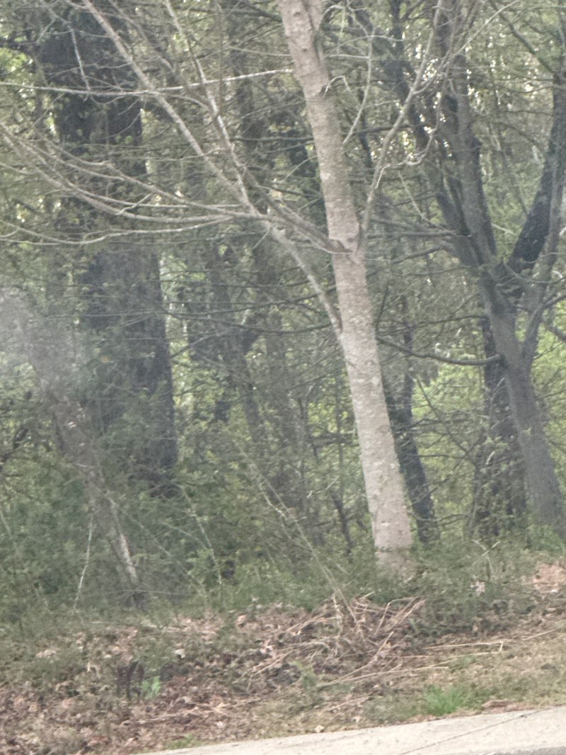 walking near me in Robinson Nature Center in spring