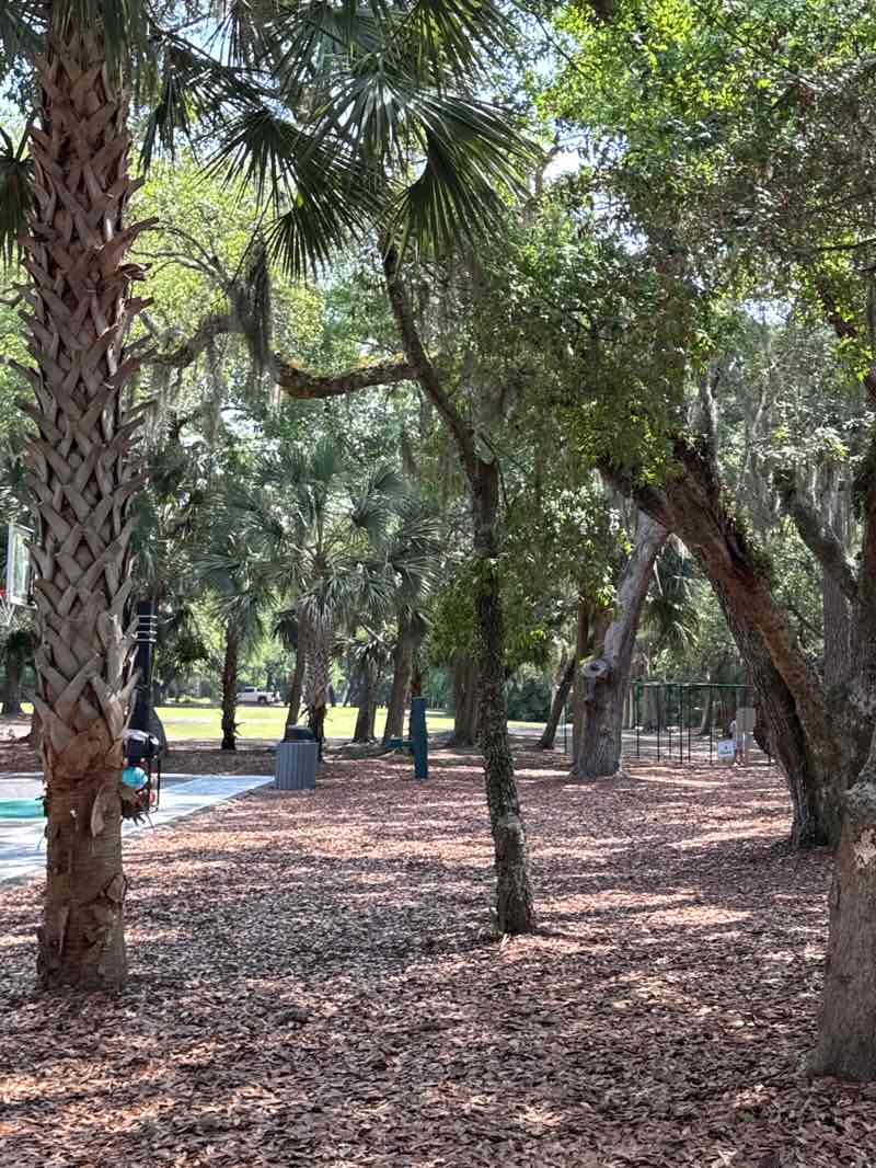 walking near me in Night Heron Park in summer