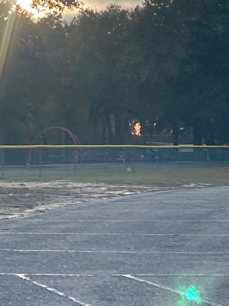 walking near me in Bruce Ladner Memorial Park in autumn