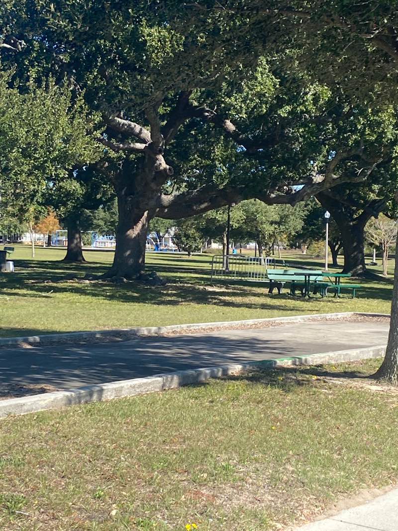 walking near me in West Side Park in autumn