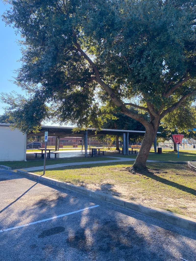 walking near me in 28th Street Park in autumn