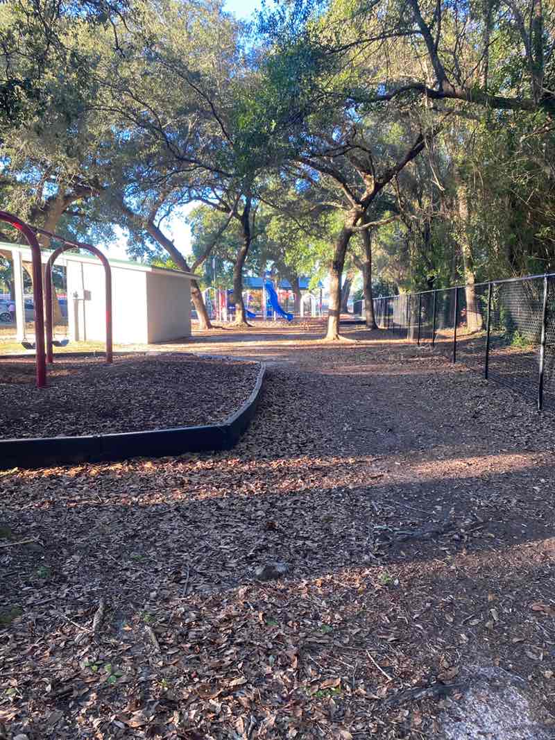 walking near me in War Memorial Park in autumn