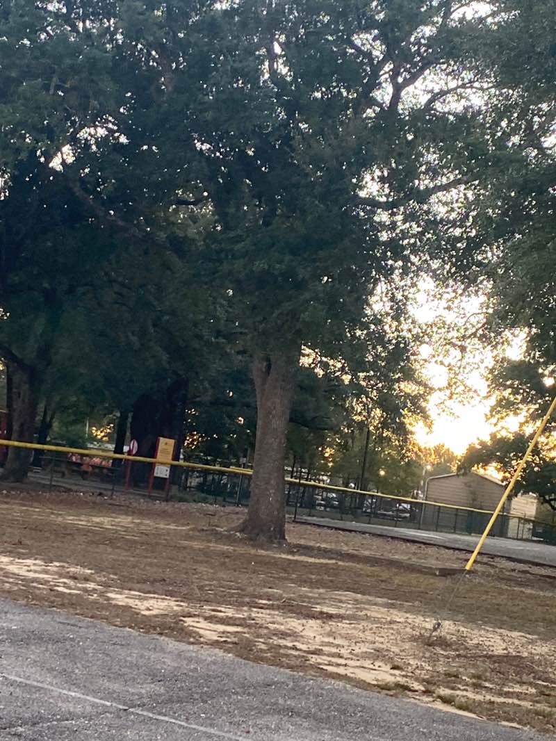 walking near me in Bruce Ladner Memorial Park in winter