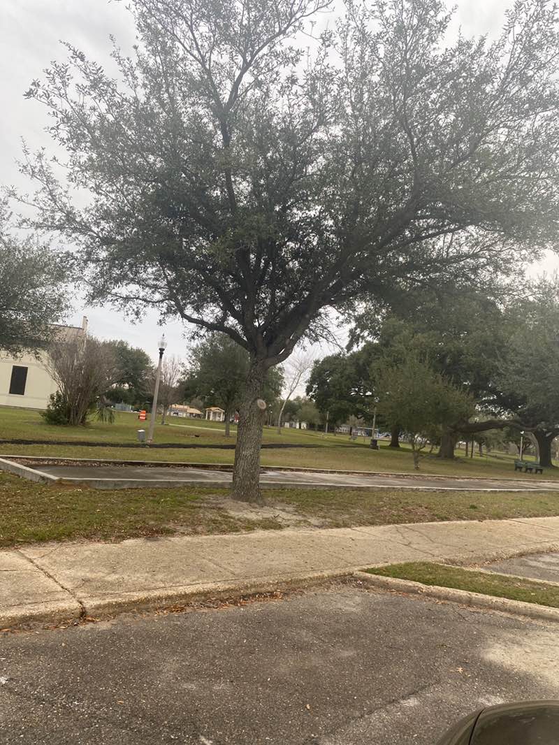 walking near me in West Side Park in winter