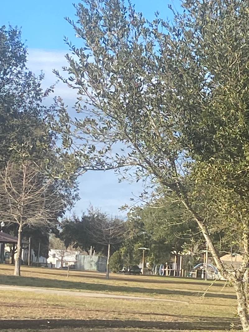 walking near me in West Side Park in winter