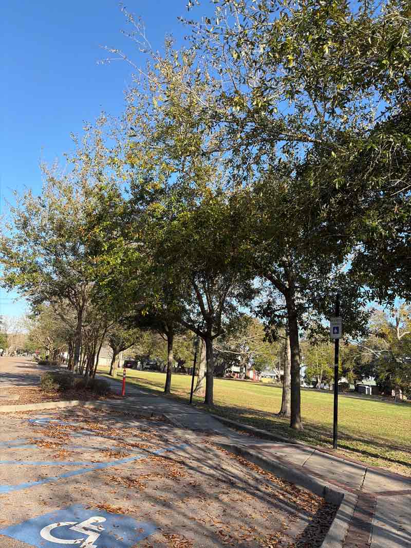 walking near me in Harper McCaughan Town Green Park in spring