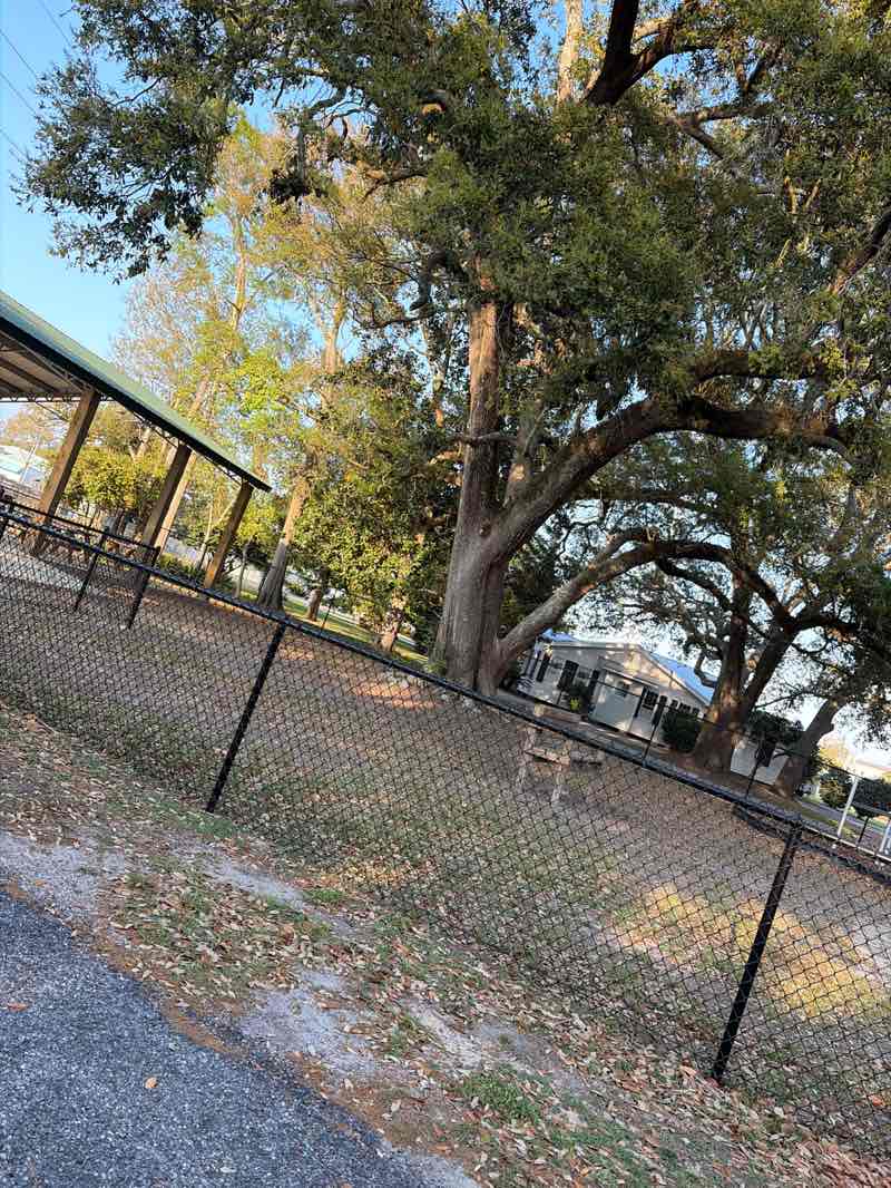 walking near me in War Memorial Park in spring