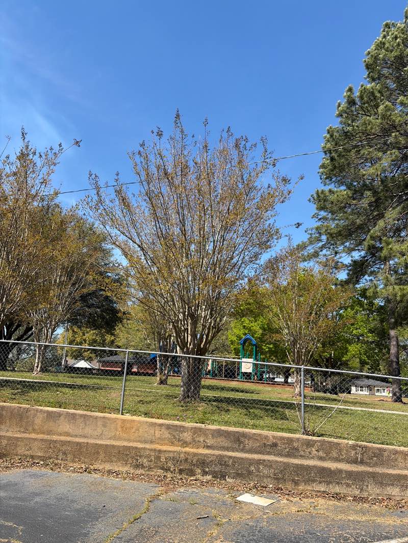 walking near me in Blaylock Park in spring