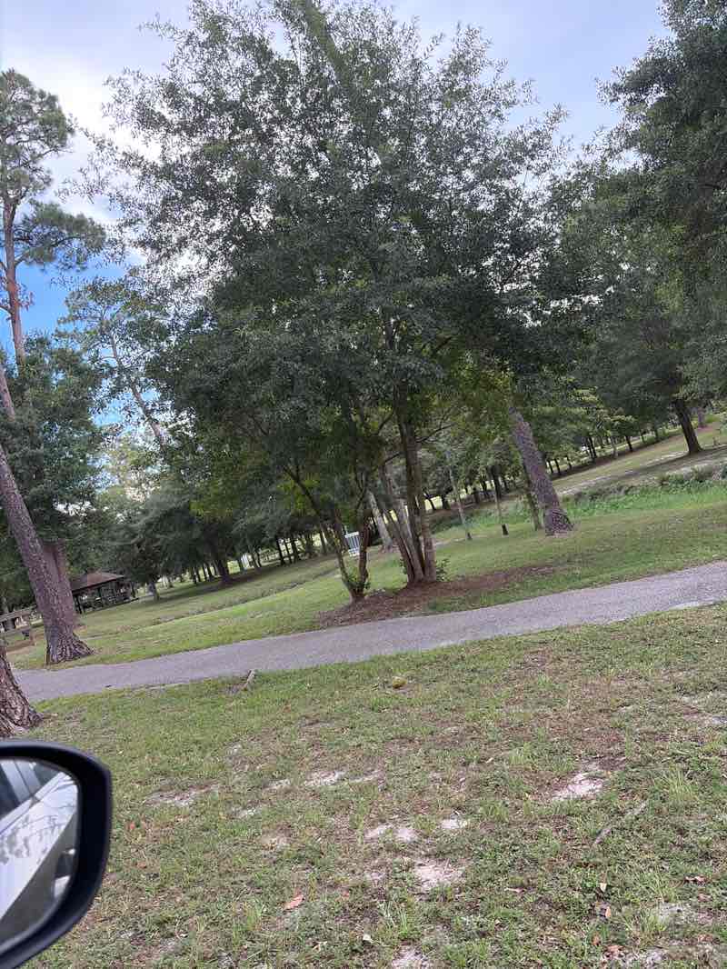 walking near me in Bayou View Park in summer