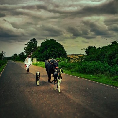 GSC - Burckhardt Compression Adinath Aher Patil🚩🫅 post image