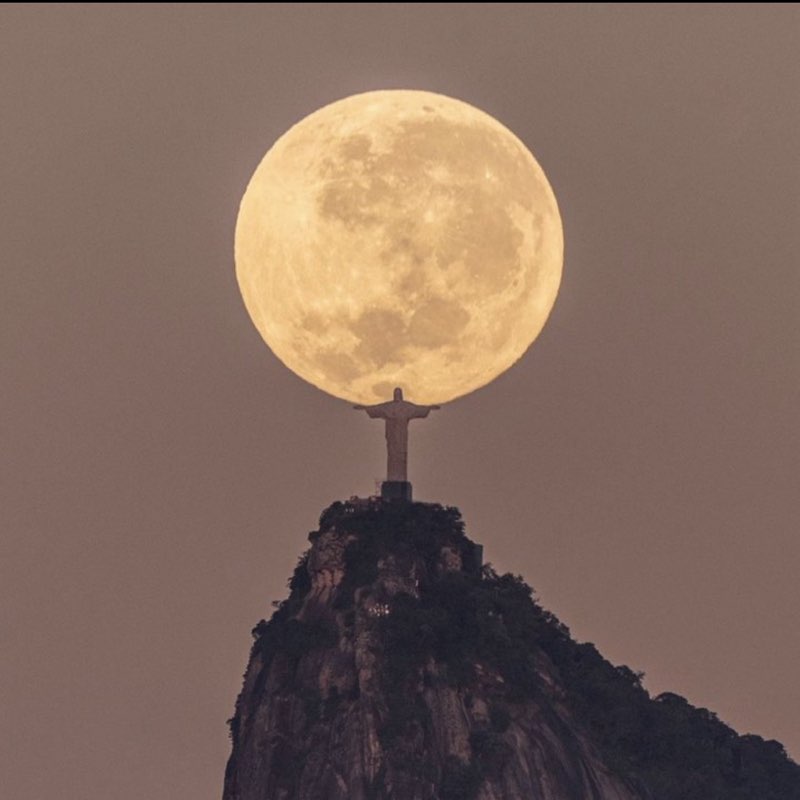 Denis Poiloy profile