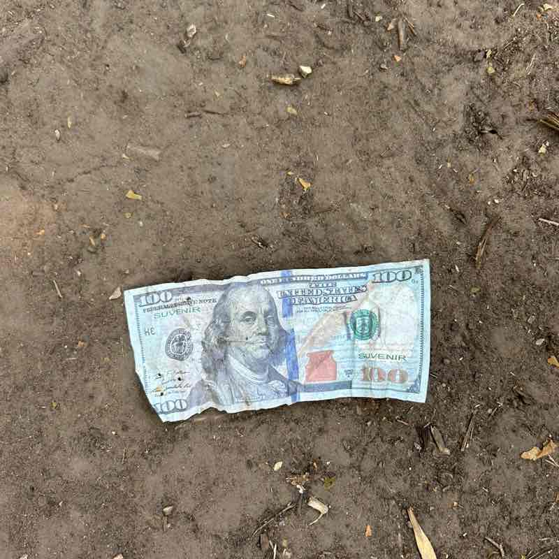 Stride for 28 – Walking Club Bogdan Kokovich post image