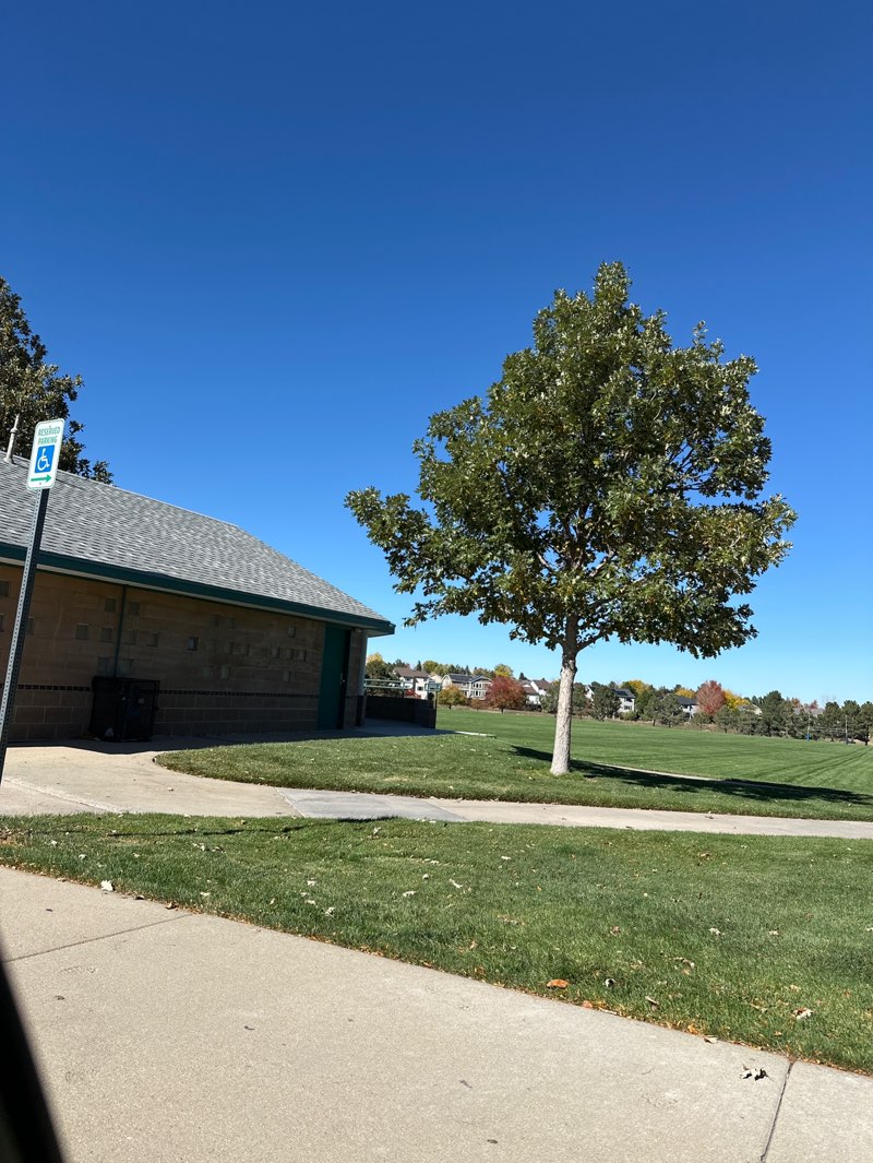 walking near me in Falcon Park in autumn