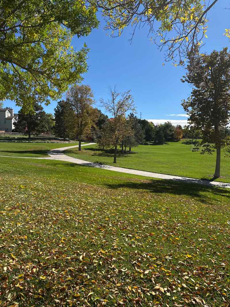 walking near me in Timberline Park in autumn