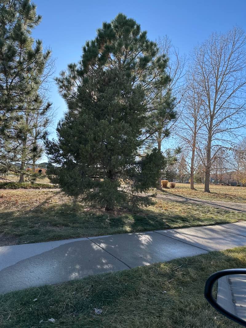 walking near me in Keyser Creek Park in autumn
