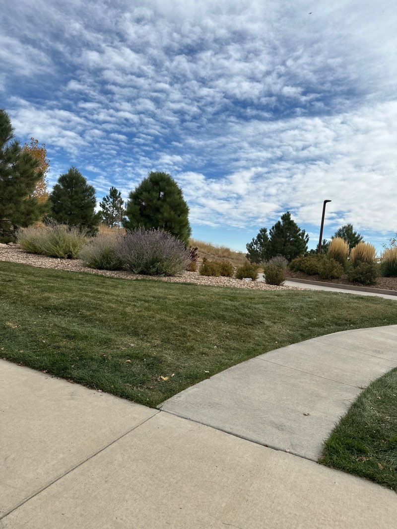 walking near me in Butterfly Park in autumn