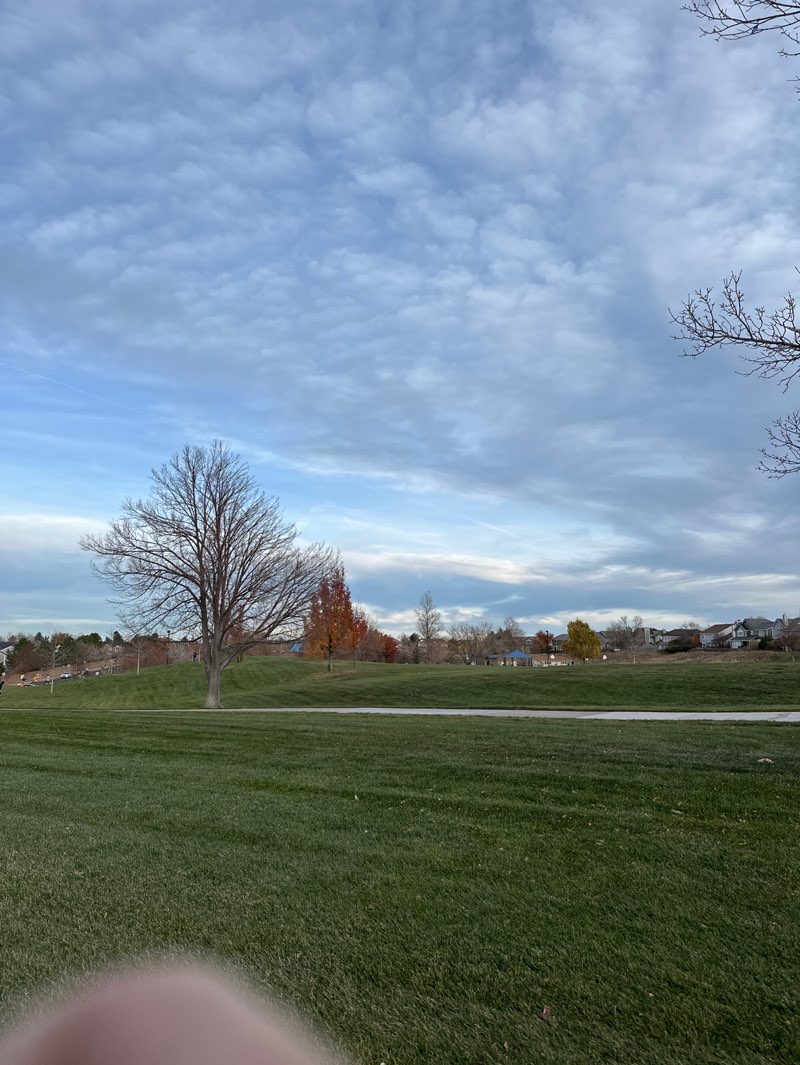 walking near me in Cougar Run Park in autumn