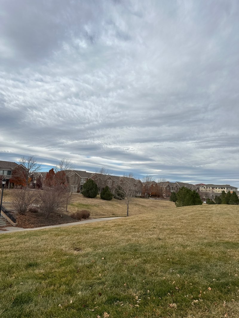 walking near me in Belvedere Park in autumn