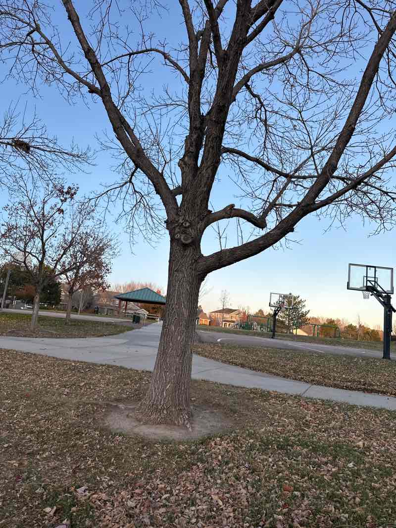walking near me in Pam Daale Park in autumn