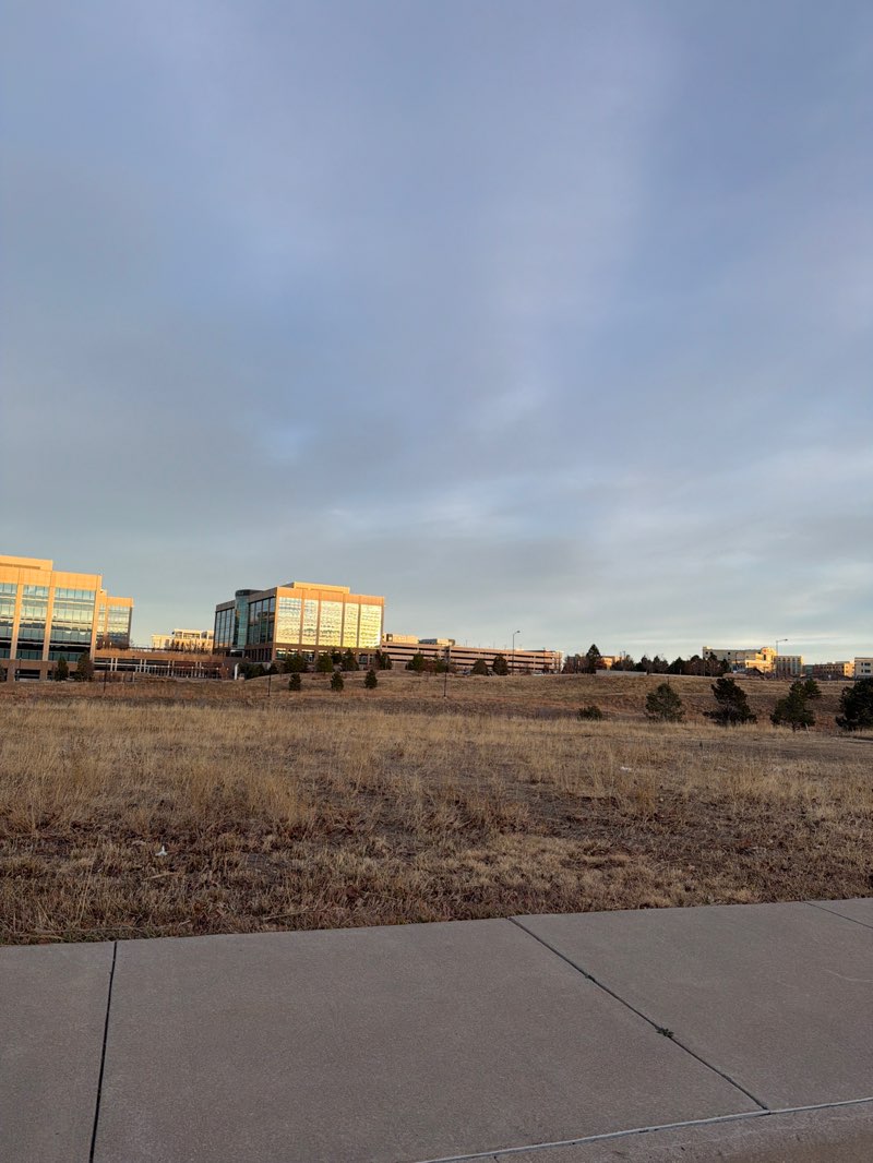 walking near me in Lincoln Commons Park in winter