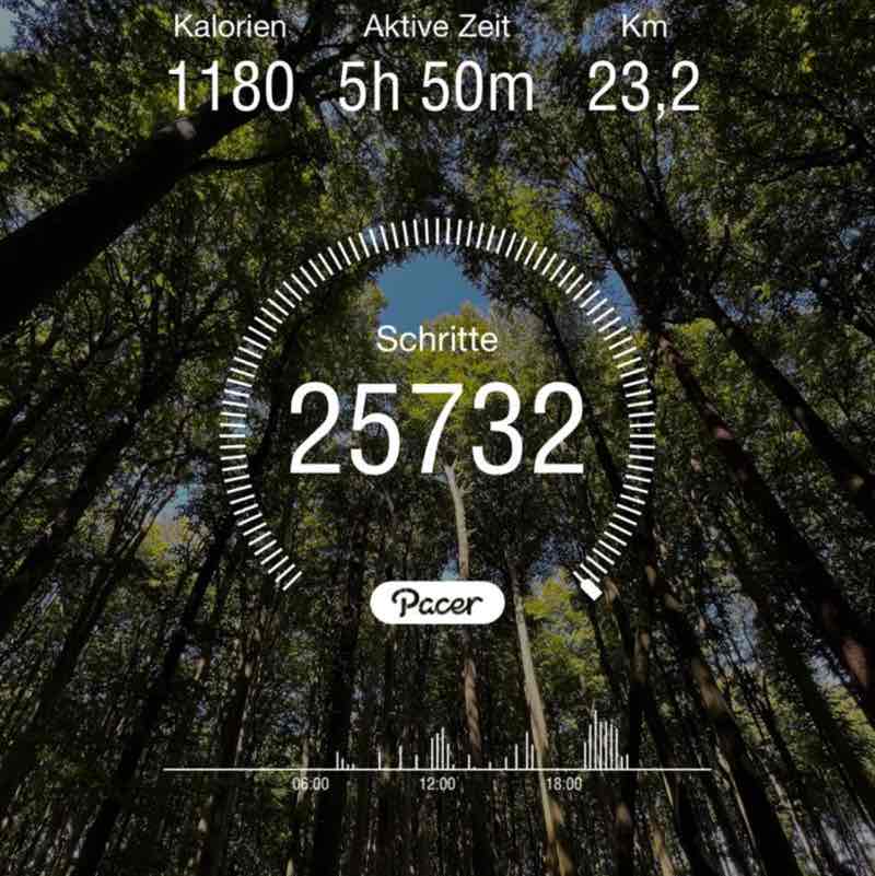 Nafaa Dimassi post 1