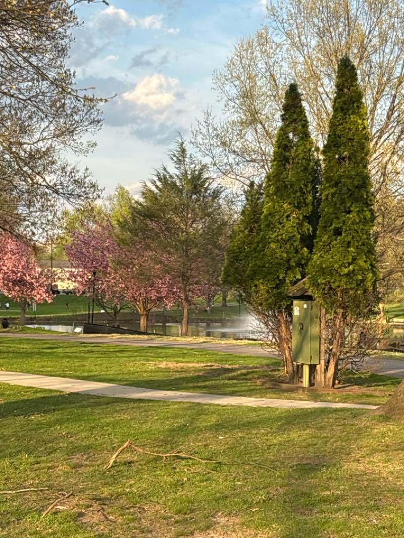 walking near me in Kirby Park in spring