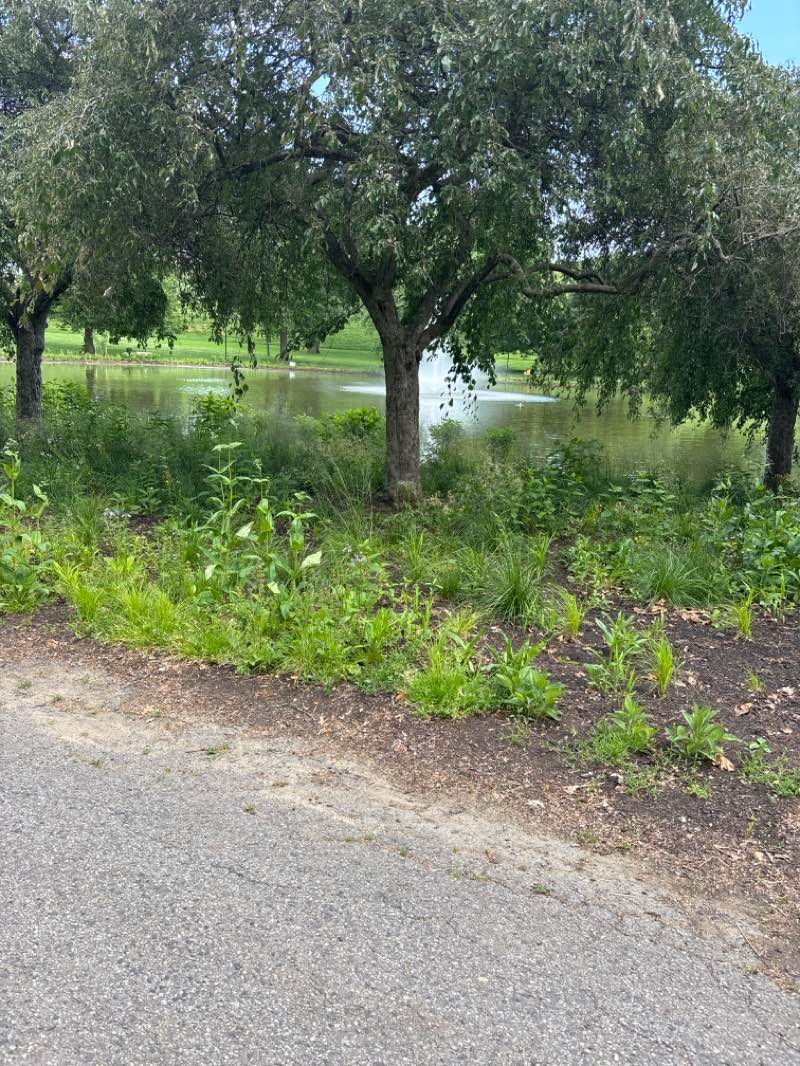 walking near me in Kirby Park in summer