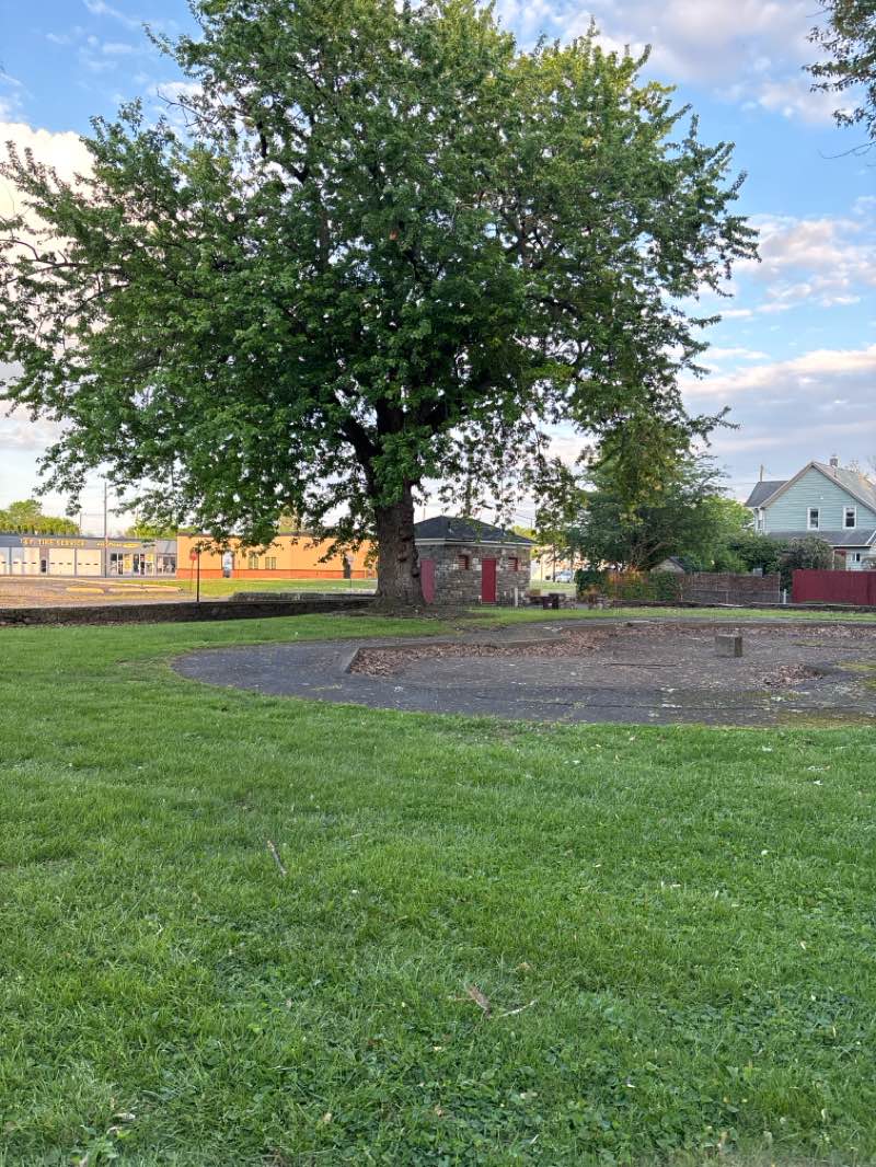 walking near me in Reeses Park in spring