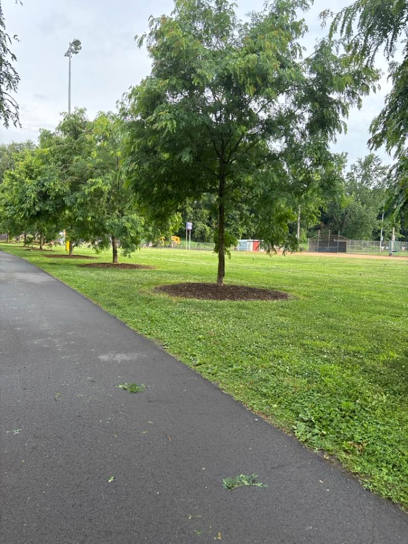 walking near me in Hamilton Park in summer