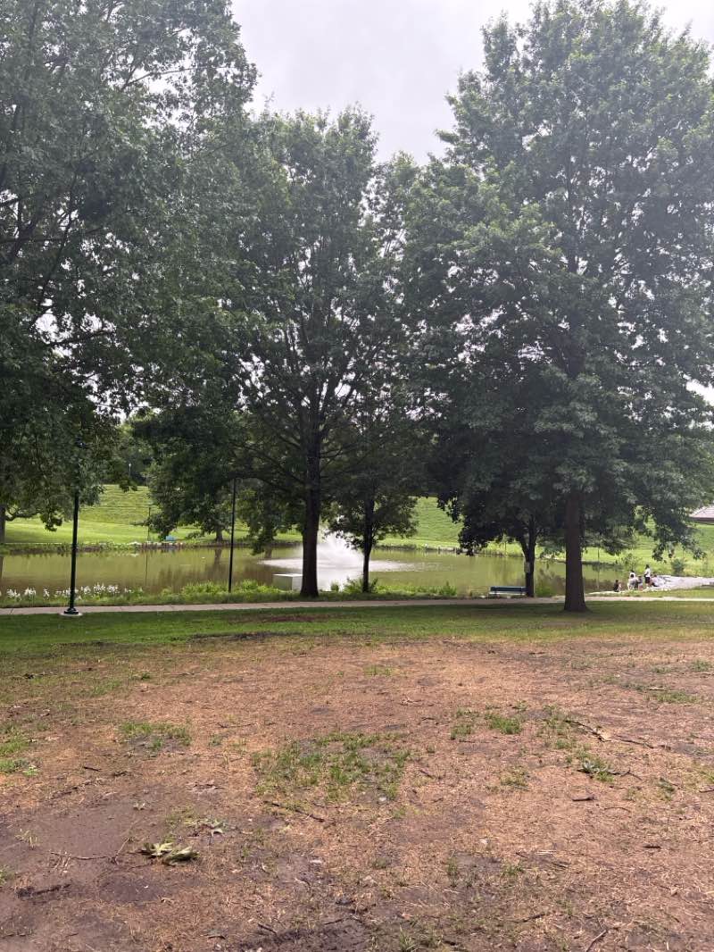 walking near me in Kirby Park in summer