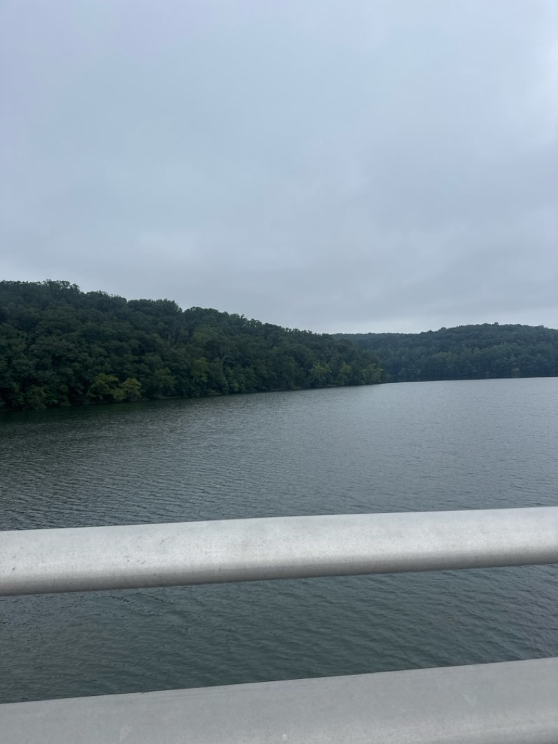 walking near me in Loch Raven Reservoir Cooperative Wildlife Management Area in autumn