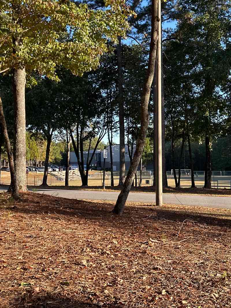 walking near me in Bunten Road Park in autumn