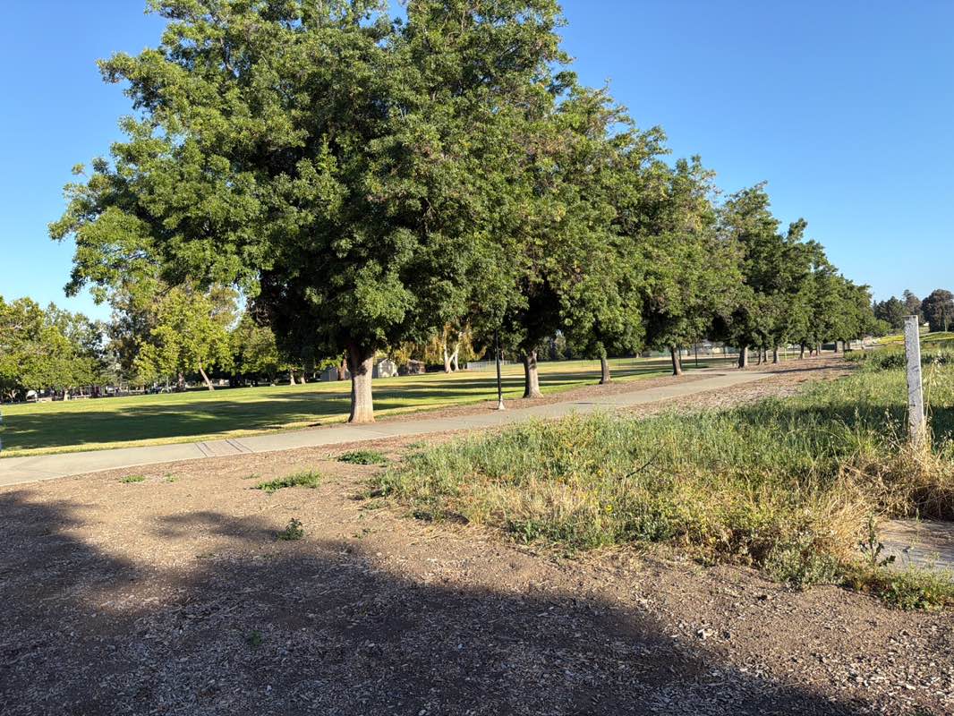 walking near me in Warm Springs Park in summer